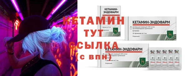 шишки Горняк