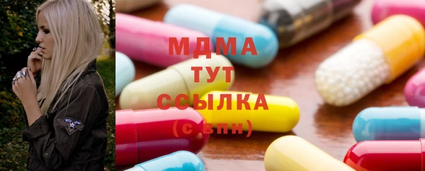 шишки Горняк