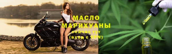 шишки Горняк