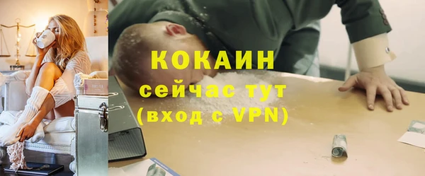 шишки Горняк