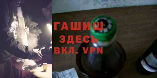 шишки Горняк