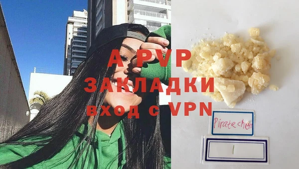 шишки Горняк