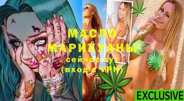 шишки Горняк