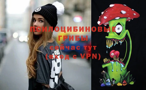 ALPHA PVP Гусев