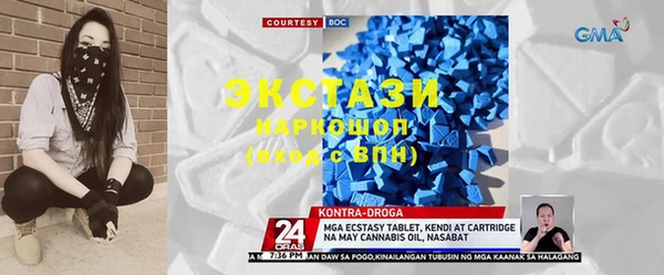 шишки Горняк